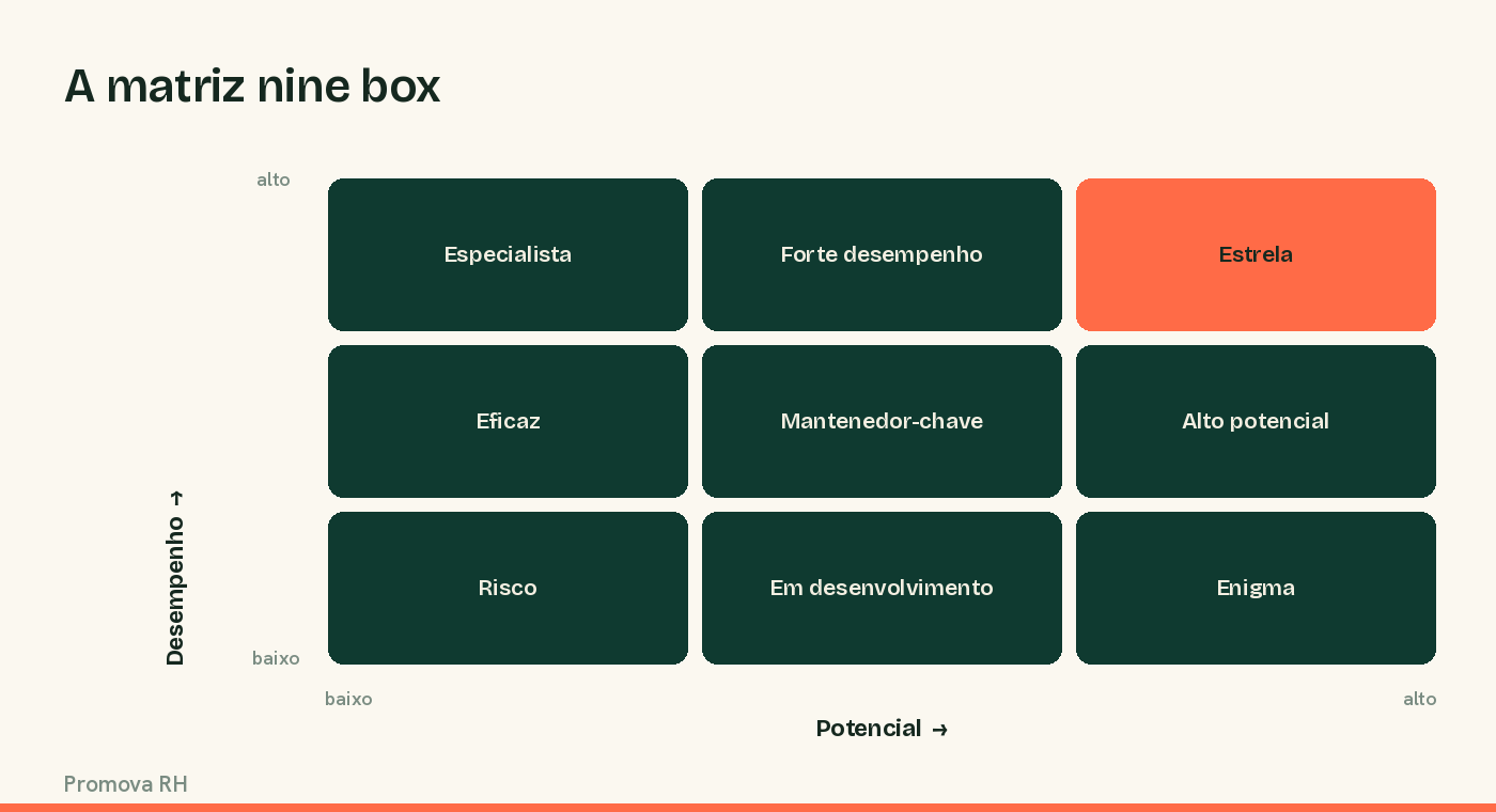 A matriz nine box de desempenho e potencial